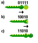 Ejemplo 3